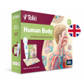 Tolki Zestaw Human Body EN