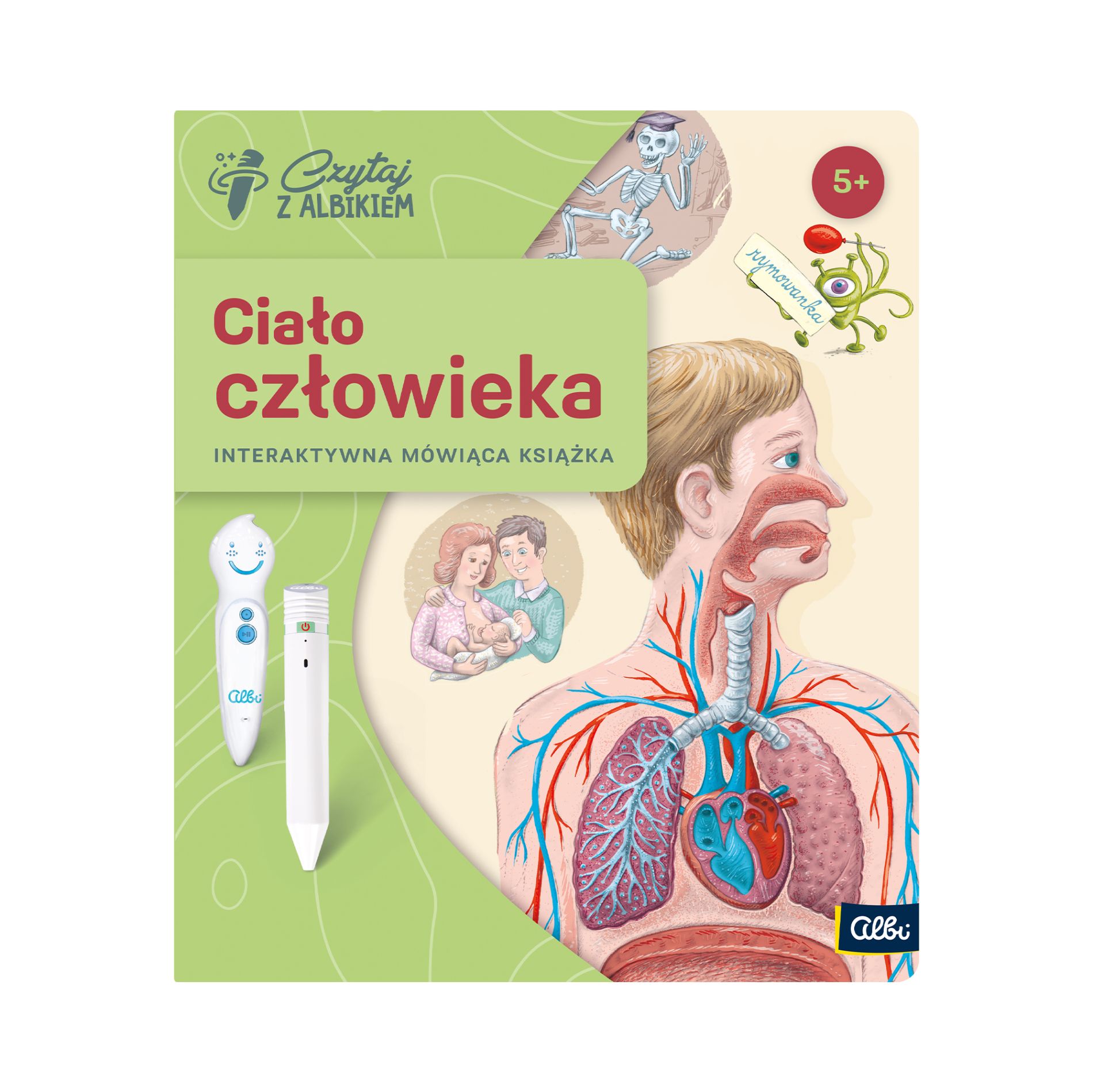 Zestaw Ciało człowieka 5+ | Albipolska.pl