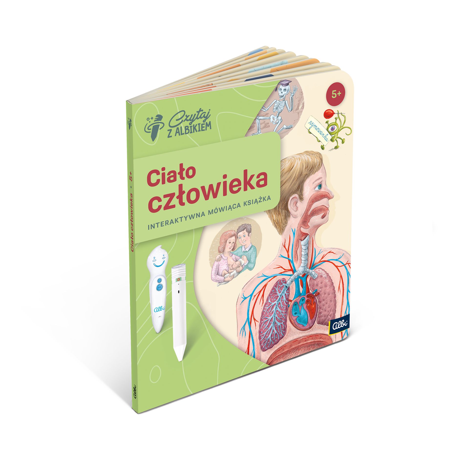 Zestaw Ciało człowieka 5+ | Albipolska.pl