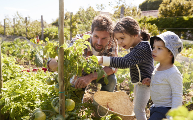 Ogród to nie tylko zabawa – wiosenne porządki z dziećmi