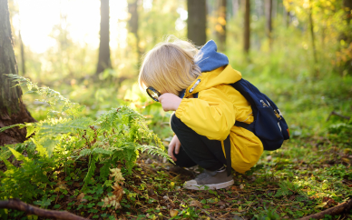 Co w trawie piszczy, czyli jak zachęcić dziecko do poznawania przyrody