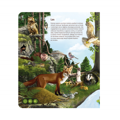                             Książka Świat zwierząt                        