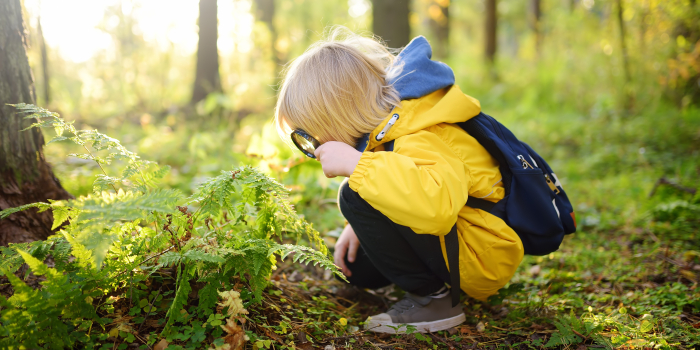 Co w trawie piszczy, czyli jak zachęcić dziecko do poznawania przyrody