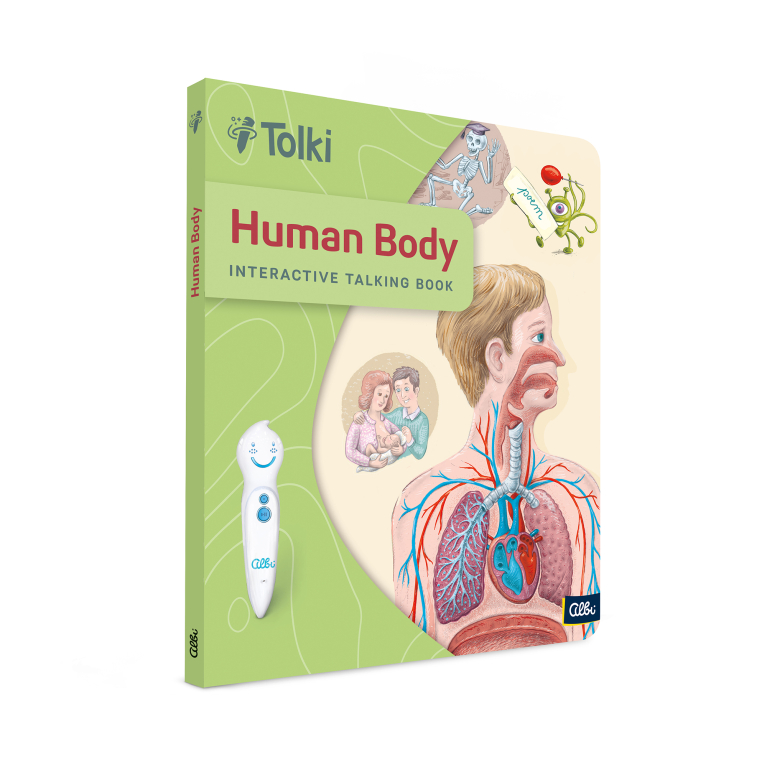                             Tolki Zestaw Human Body EN                        